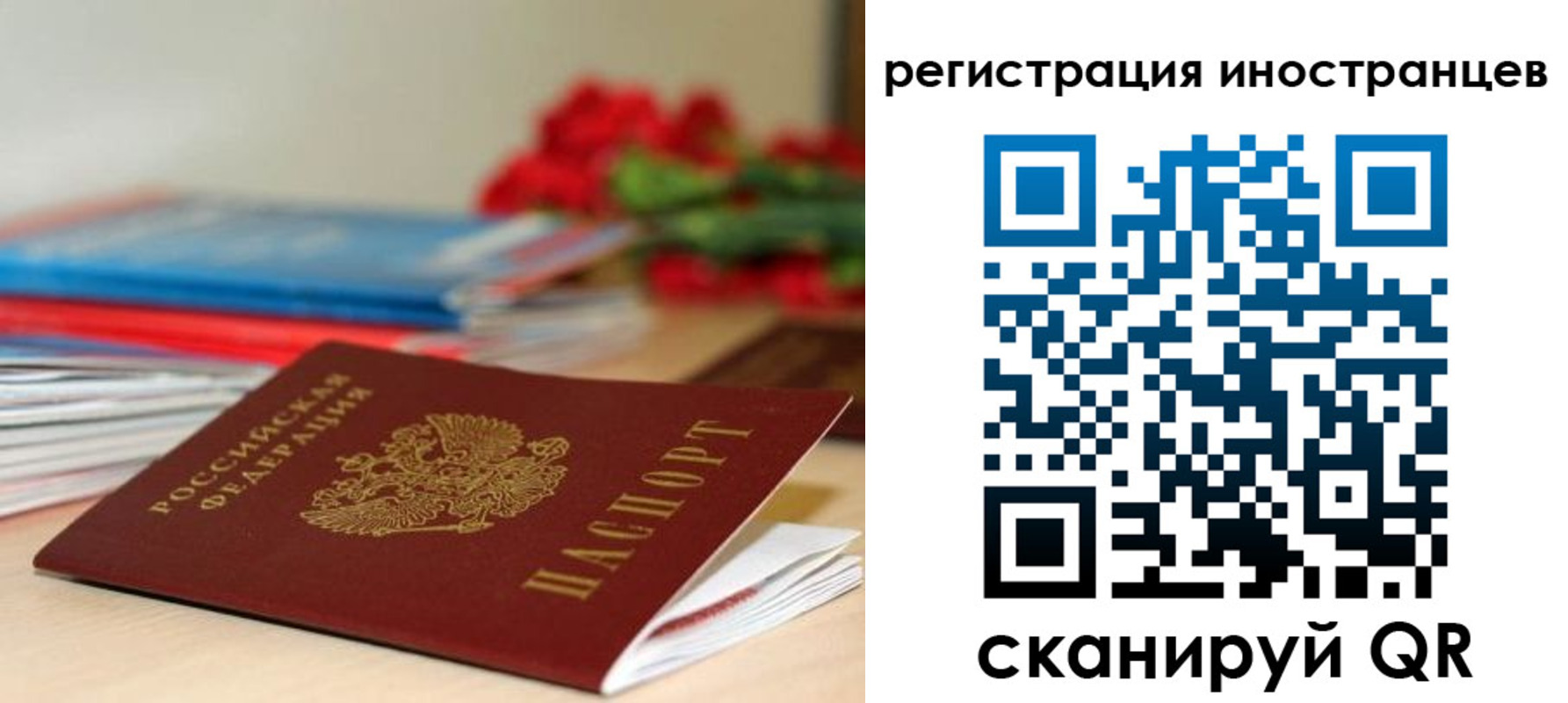 форма 3 в Курганской области